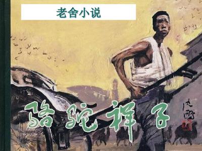 雏鸟app下载